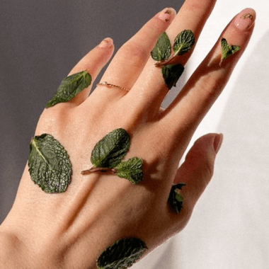 أعشاب العناية بالجسم والشعر